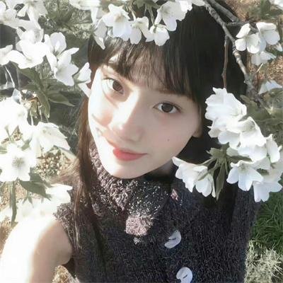 动画青春